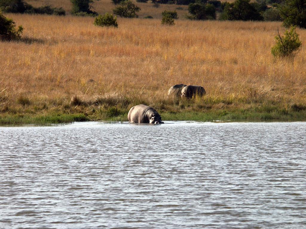 090516_Pilanesberg 227.jpg